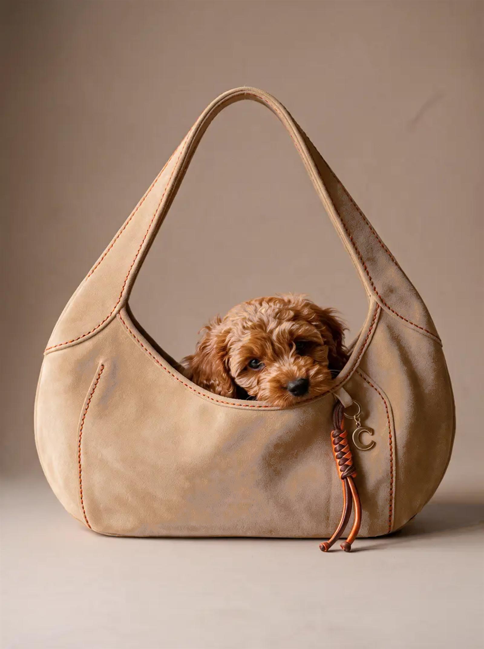 No. 2, Crossbody, with a dog