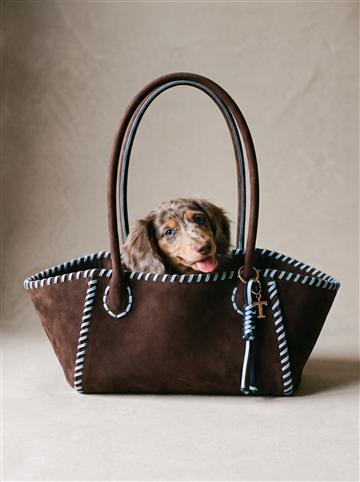Maxi, dark brown and light blue
